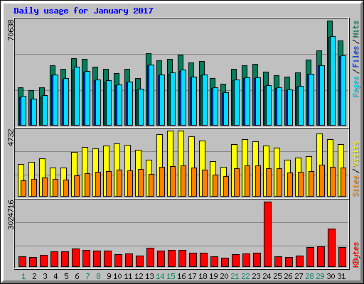 Daily usage for January 2017
