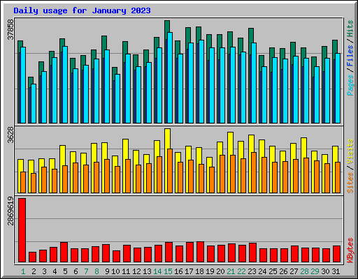 Daily usage for January 2023