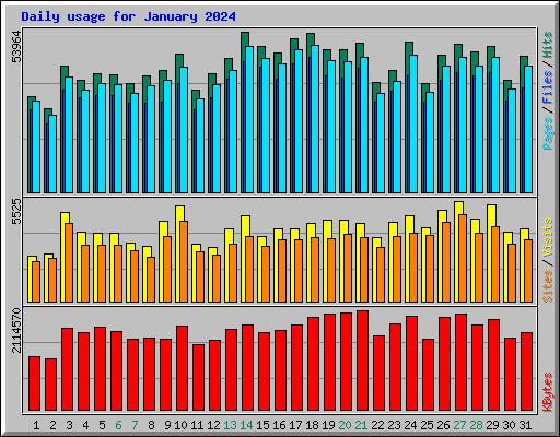 Daily usage for January 2024