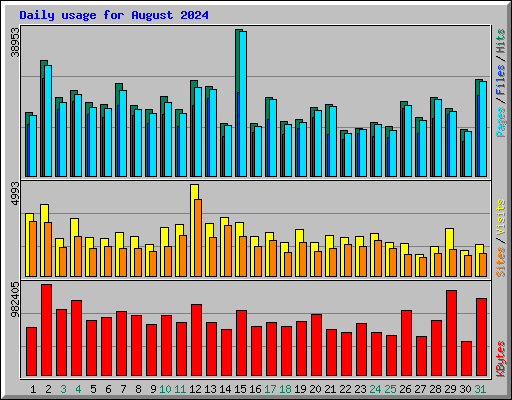 Daily usage for August 2024