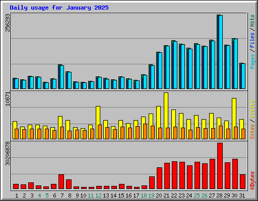 Daily usage for January 2025