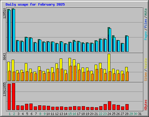 Daily usage for February 2025