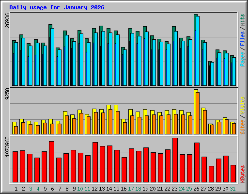 Daily usage for January 2026