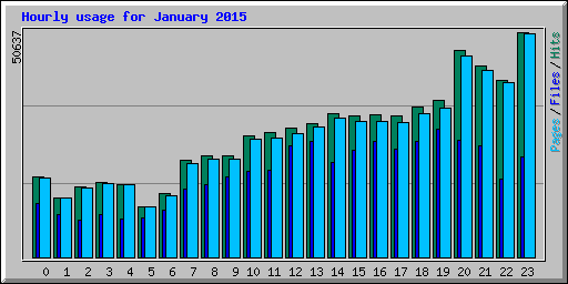 Hourly usage for January 2015