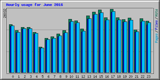Hourly usage for June 2016