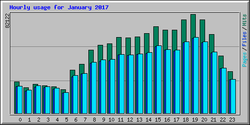 Hourly usage for January 2017