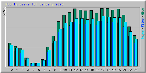 Hourly usage for January 2023