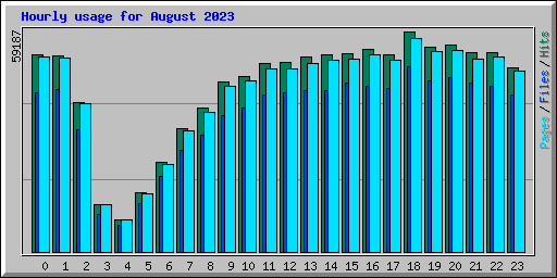 Hourly usage for August 2023