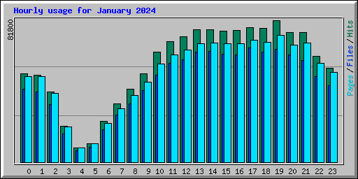 Hourly usage for January 2024