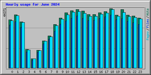Hourly usage for June 2024
