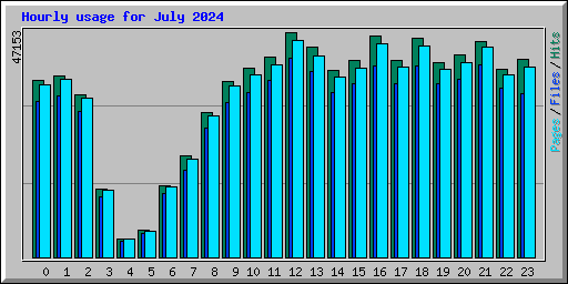Hourly usage for July 2024