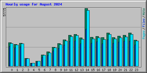 Hourly usage for August 2024
