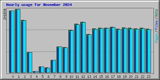 Hourly usage for November 2024