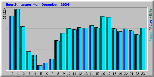 Hourly usage for December 2024