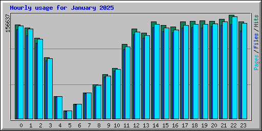 Hourly usage for January 2025