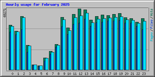 Hourly usage for February 2025
