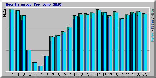 Hourly usage for June 2025