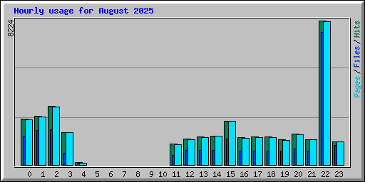 Hourly usage for August 2025
