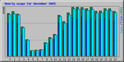 Hourly usage for December 2025
