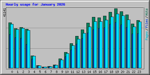 Hourly usage for January 2026