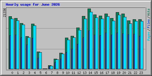 Hourly usage for June 2026