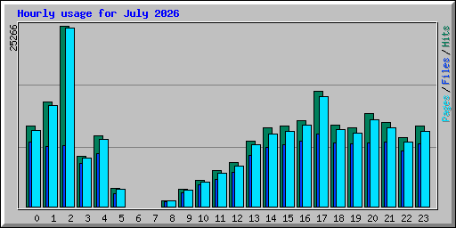 Hourly usage for July 2026